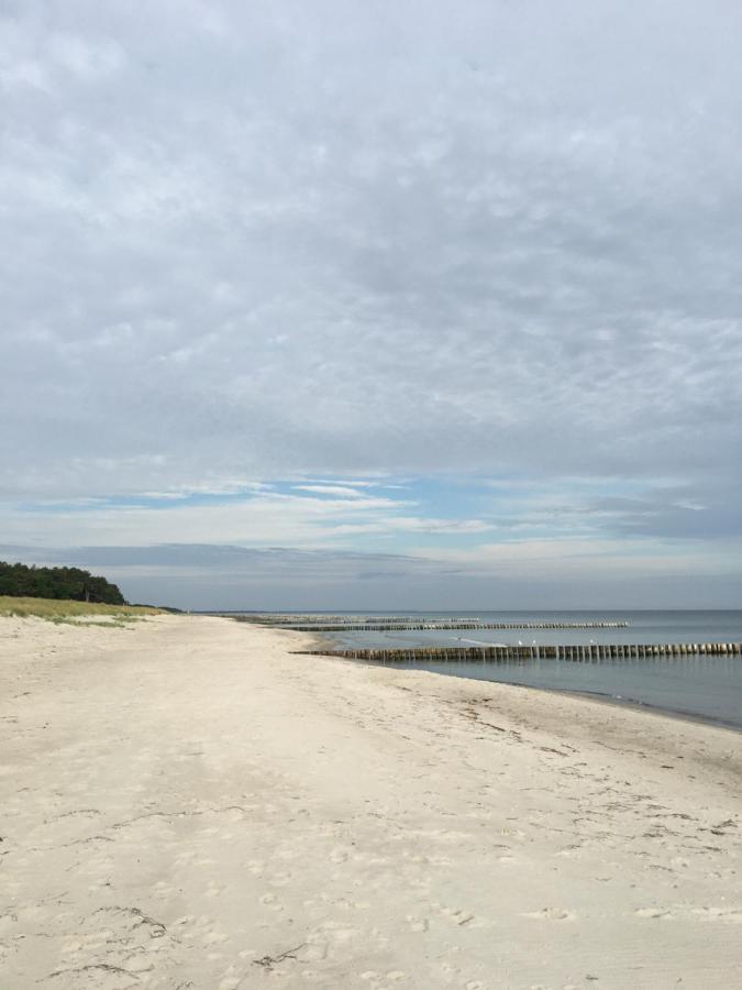 Fewo Sonnenblume Achtern Diek Zingst Exterior foto